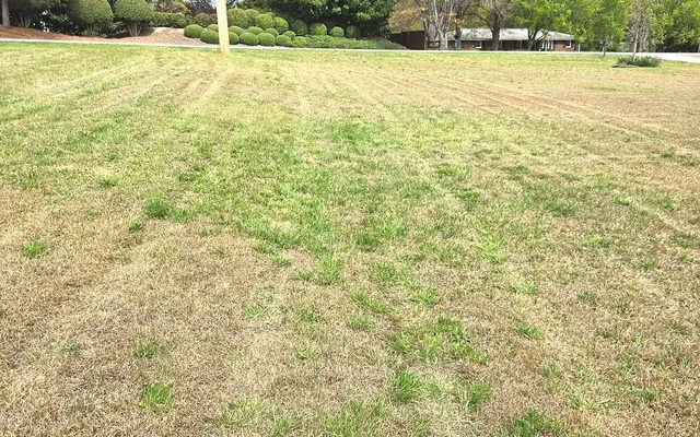 LawnSkapers. landscape maintenance and outdoor services